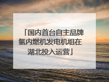 国内首台自主品牌氢内燃机发电机组在湖北投入运营