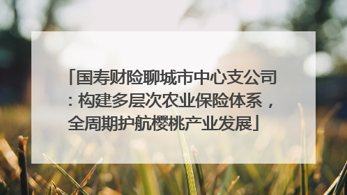国寿财险聊城市中心支公司：构建多层次农业保险体系，全周期护航樱桃产业发展