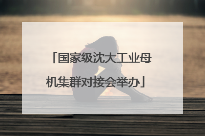国家级沈大工业母机集群对接会举办