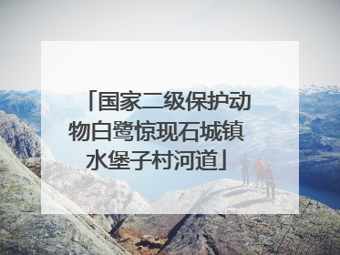 国家二级保护动物白鹭惊现石城镇水堡子村河道