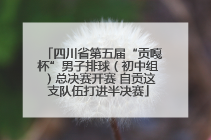 四川省第五届“贡嘎杯”男子排球（初中组）总决赛开赛 自贡这支队伍打进半决赛