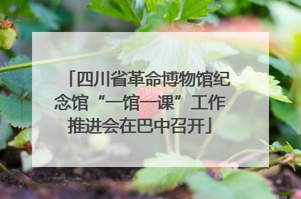 四川省革命博物馆纪念馆“一馆一课”工作推进会在巴中召开