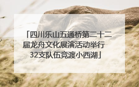四川乐山五通桥第二十二届龙舟文化展演活动举行 32支队伍竞渡小西湖