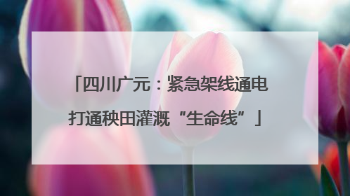 四川广元：紧急架线通电 打通秧田灌溉“生命线”