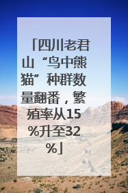 四川老君山“鸟中熊猫”种群数量翻番，繁殖率从15%升至32%