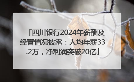 四川银行2024年薪酬及经营情况披露：人均年薪33.2万，净利润突破20亿
