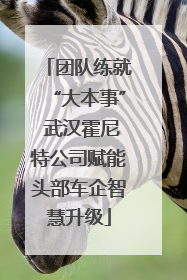 团队练就“大本事” 武汉霍尼特公司赋能头部车企智慧升级
