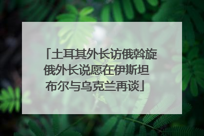 土耳其外长访俄斡旋 俄外长说愿在伊斯坦布尔与乌克兰再谈