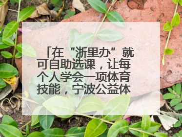 在“浙里办”就可自助选课，让每个人学会一项体育技能，宁波公益体培落到实处