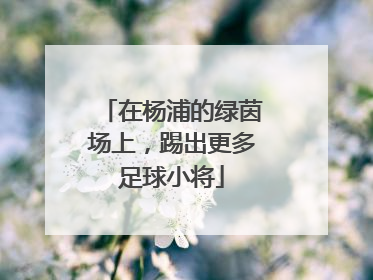 在杨浦的绿茵场上，踢出更多足球小将