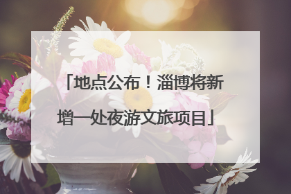 地点公布！淄博将新增一处夜游文旅项目
