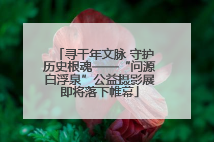 寻千年文脉 守护历史根魂——“问源白浮泉”公益摄影展即将落下帷幕