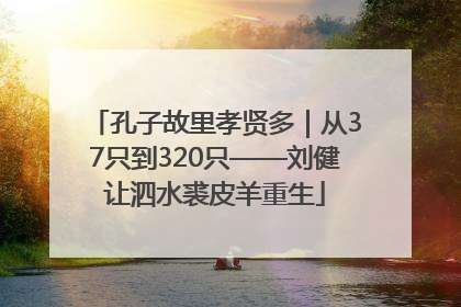 孔子故里孝贤多｜从37只到320只——刘健让泗水裘皮羊重生