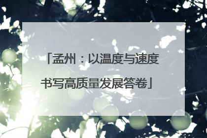 孟州：以温度与速度书写高质量发展答卷