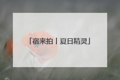 宿来拍丨夏日精灵