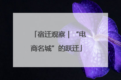 宿迁观察｜“电商名城”的跃迁