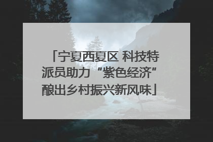 宁夏西夏区 科技特派员助力“紫色经济”酿出乡村振兴新风味