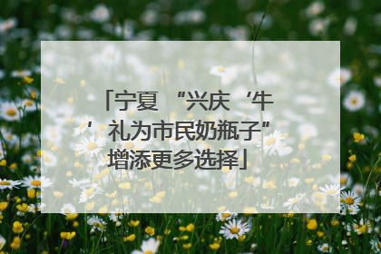 宁夏 “兴庆‘牛’礼为市民奶瓶子”增添更多选择