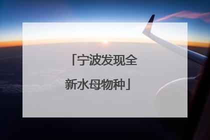 宁波发现全新水母物种