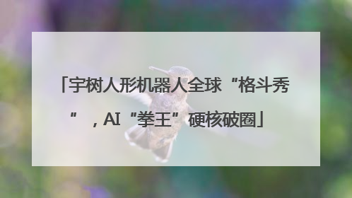 宇树人形机器人全球“格斗秀”，AI“拳王”硬核破圈