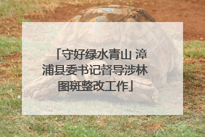 守好绿水青山 漳浦县委书记督导涉林图斑整改工作