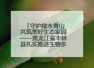 守护绿水青山 共筑美好生态家园——黑龙江省丰林县扎实推进生物多样性保护工作
