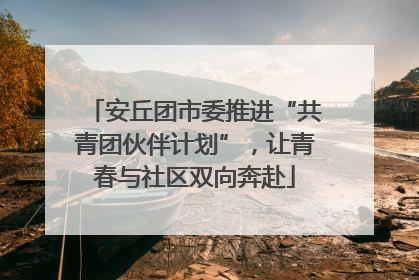 安丘团市委推进“共青团伙伴计划”，让青春与社区双向奔赴