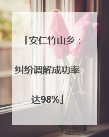 安仁竹山乡：纠纷调解成功率达98%
