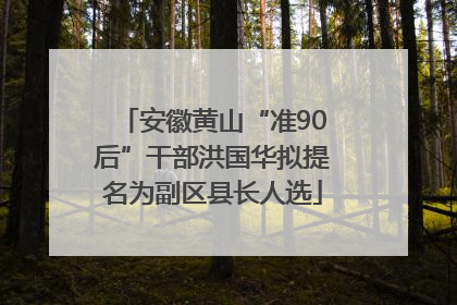 安徽黄山“准90后”干部洪国华拟提名为副区县长人选