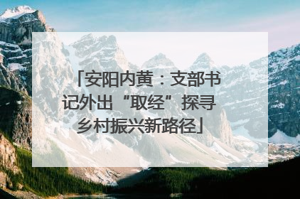 安阳内黄：支部书记外出“取经”探寻乡村振兴新路径