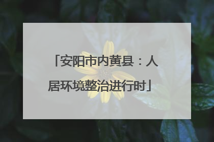 安阳市内黄县：人居环境整治进行时