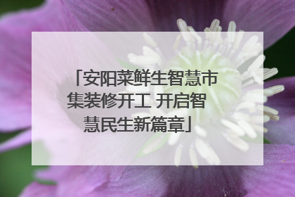 安阳菜鲜生智慧市集装修开工 开启智慧民生新篇章