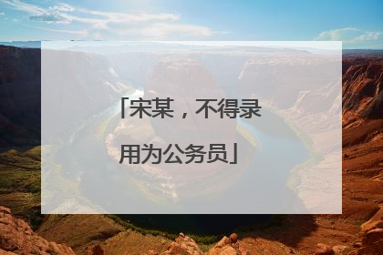 宋某，不得录用为公务员