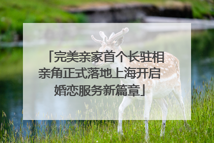 完美亲家首个长驻相亲角正式落地上海开启婚恋服务新篇章