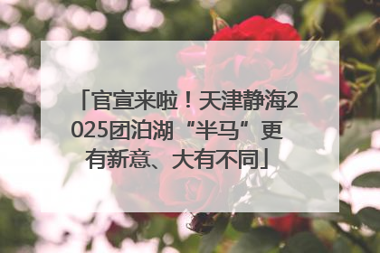 官宣来啦！天津静海2025团泊湖“半马”更有新意、大有不同