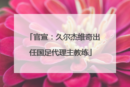 官宣：久尔杰维奇出任国足代理主教练