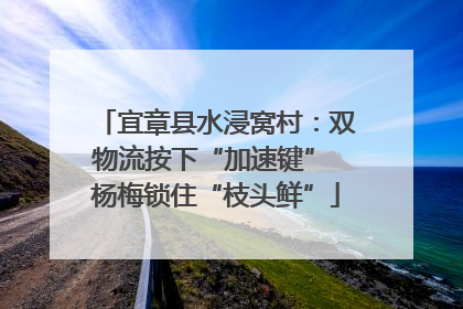 宜章县水浸窝村：双物流按下“加速键” 杨梅锁住“枝头鲜”