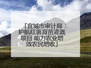 宜城市审计局：护航红薯育苗灌溉项目 助力农业增效农民增收