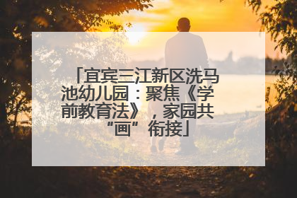 宜宾三江新区洗马池幼儿园：聚焦《学前教育法》，家园共“画”衔接