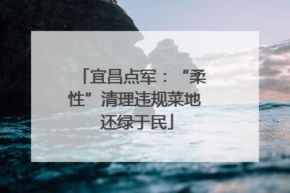宜昌点军：“柔性”清理违规菜地 还绿于民