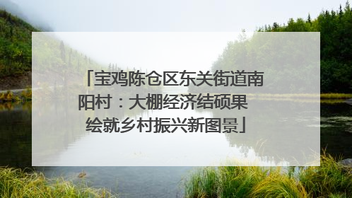 宝鸡陈仓区东关街道南阳村：大棚经济结硕果 绘就乡村振兴新图景
