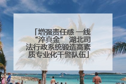 增强责任感 一线“淬真金” 湖北司法行政系统锻造高素质专业化干警队伍