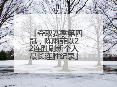 夺取赛季第四冠，陈雨菲以22连胜刷新个人最长连胜纪录