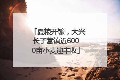 夏粮开镰，大兴长子营镇近6000亩小麦迎丰收