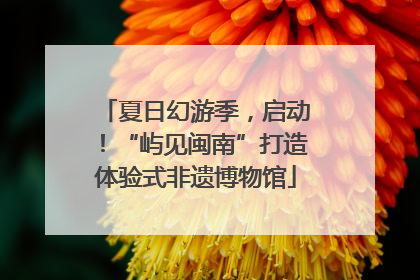 夏日幻游季，启动！“屿见闽南”打造体验式非遗博物馆