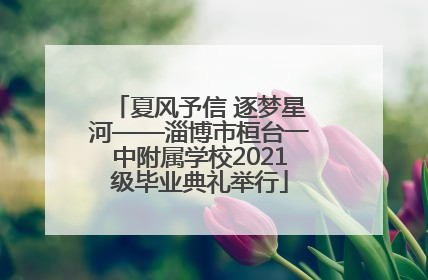 夏风予信 逐梦星河——淄博市桓台一中附属学校2021级毕业典礼举行
