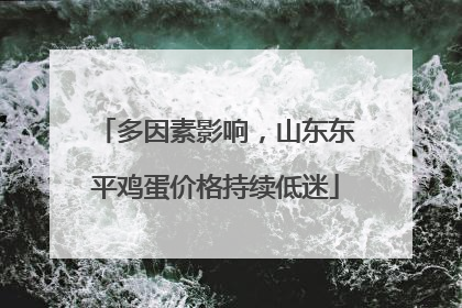 多因素影响，山东东平鸡蛋价格持续低迷