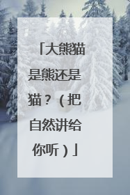 大熊猫是熊还是猫？（把自然讲给你听）