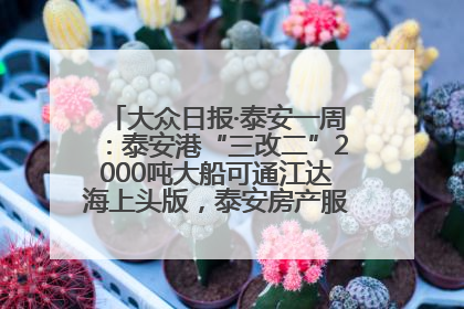 大众日报·泰安一周：泰安港“三改二”2000吨大船可通江达海上头版，泰安房产服务改革经验全省推广