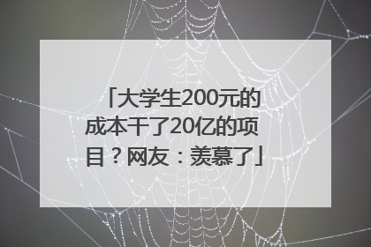 大学生200元的成本干了20亿的项目？网友：羡慕了
